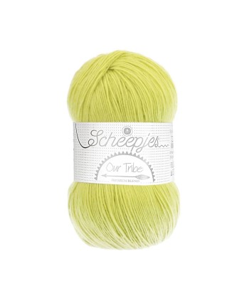 Scheepjes Our Tribe Nr. 878 Pistachio Branch - Merino...