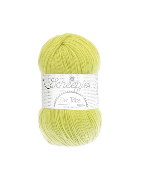 Scheepjes Our Tribe/Unity Nr. 878 Pistachio Branch/Susanne - merino vilnos nėrimo - mezgimo siūlai