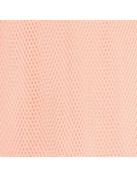 Hard Tulle -  145/150 cm - Shell