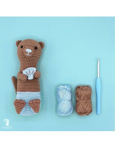 Crochet DIY kit