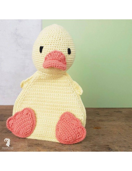 Crochet DIY kit