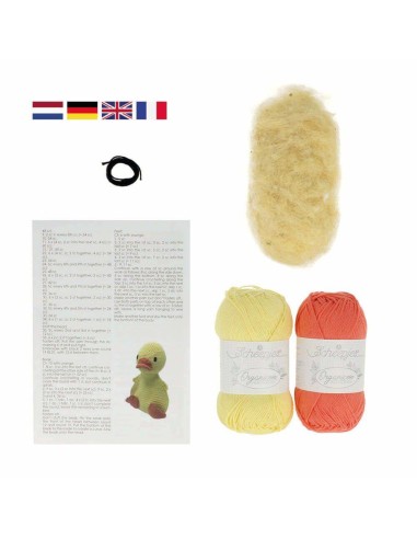 Crochet DIY kit