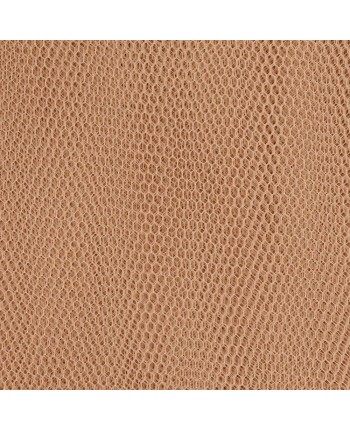 Hard Tulle -  145/150 cm - Noisette Brown