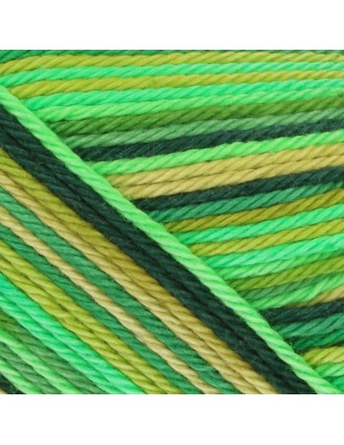 Scheepjes Catona Chroma Nr. 015 Grassland -...