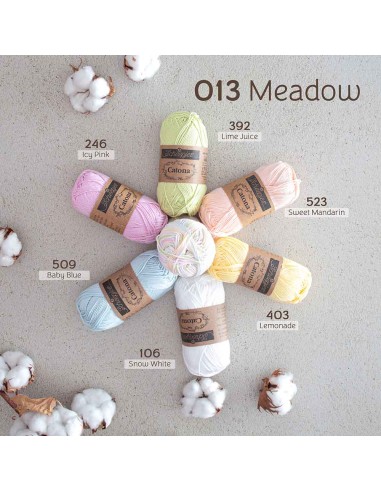 Scheepjes Catona Chroma Nr. 013 Meadow -...