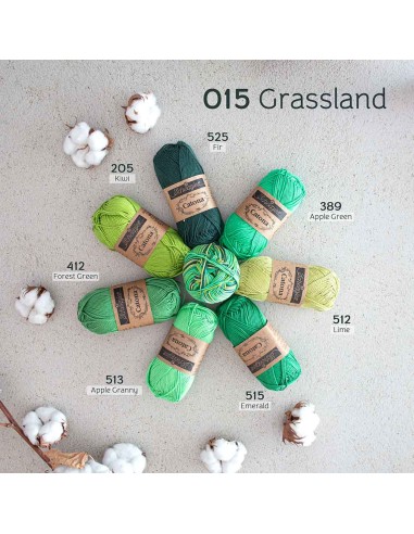 Scheepjes Catona Chroma Nr. 015 Grassland -...