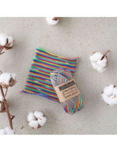 Scheepjes Catona Chroma Nr. 022 Rainbow -...