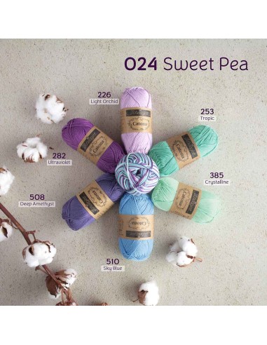 Scheepjes Catona Chroma Nr. 024 Sweet Pea -...